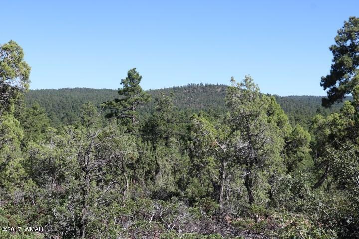 IMG_2583 (Small)