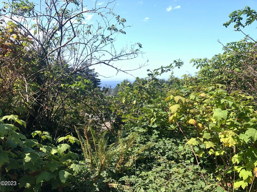 OCEAN VIEW