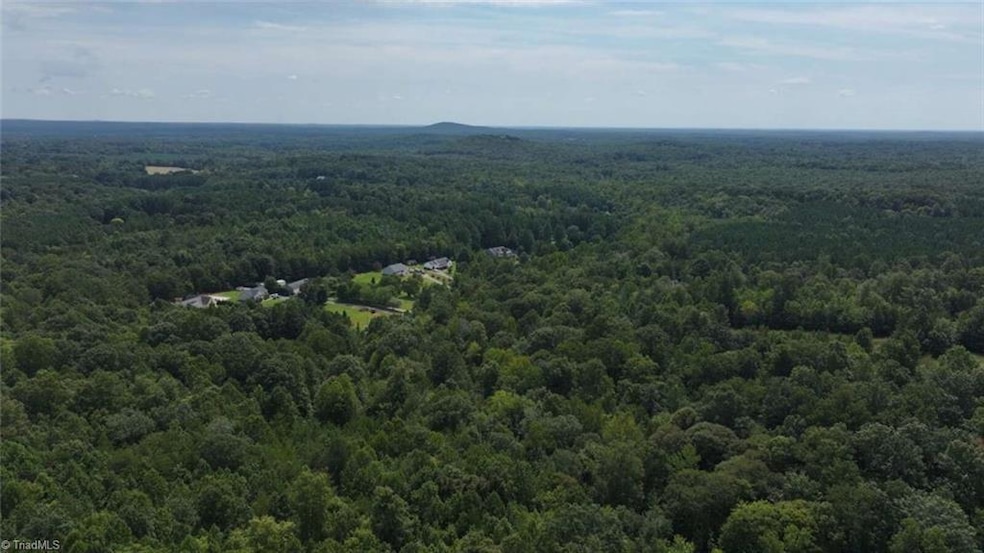 0 Woods Stream Ln unit 1203618, Asheboro, NC 27205 - photo 1