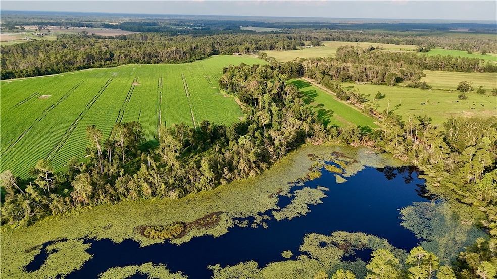 0 Rhonda Coleman Rd, Hazlehurst, GA 31539 - photo 1