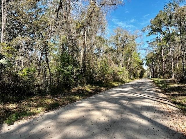 XXX Neeley Rd, Crawfordville, FL 32327 - photo 1