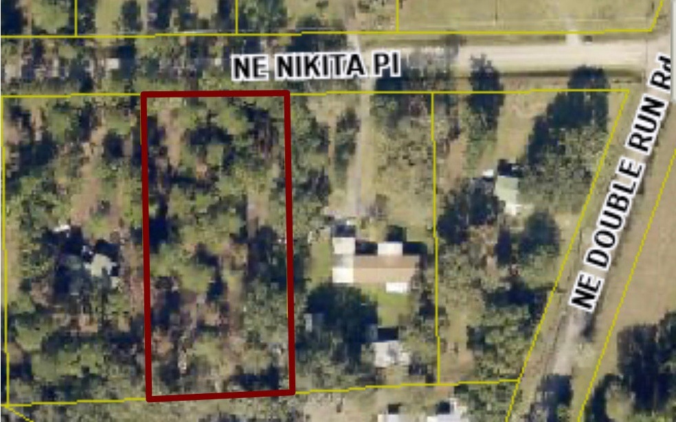 TBD Nikita Place, Lake City, FL 32055 - photo 1