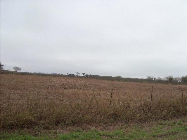 0 Cummings Ln, Donna, TX 78537 - photo 1