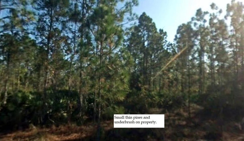 2302 Truman Ave, Alva, FL 33920 - photo 1