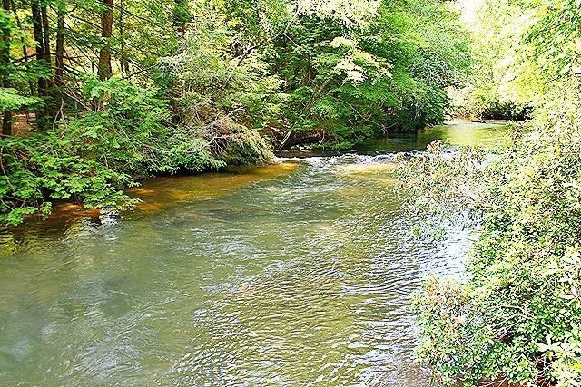 A Beautiful Swath of River