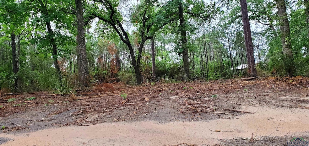 TBD County Road 336, Jasper, TX 75951 - photo 1