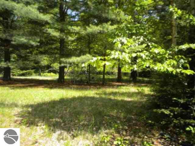 0 Morrison Rd unit 1763546, Alger, MI 48610 - photo 1