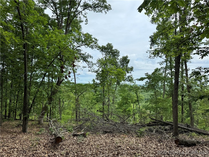 Ridgeline view-Spectacular flat place to build a h