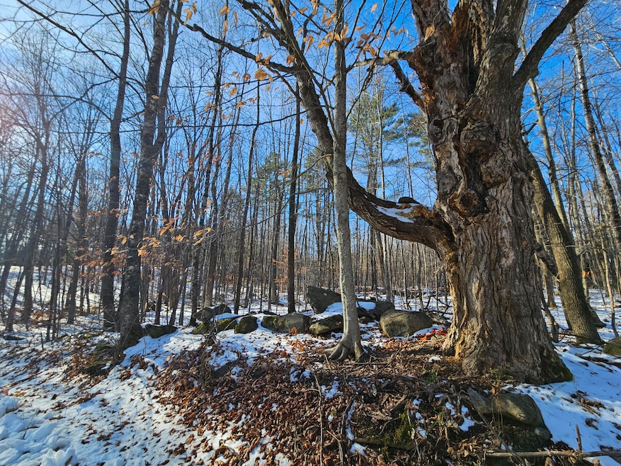 R09-L13-3 Ski Slope Rd, Farmington, ME 04938 - photo 1