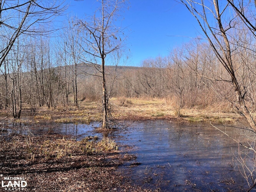 0 Co Rd 65 unit 24094921, Swaim, AL 35745 - photo 1