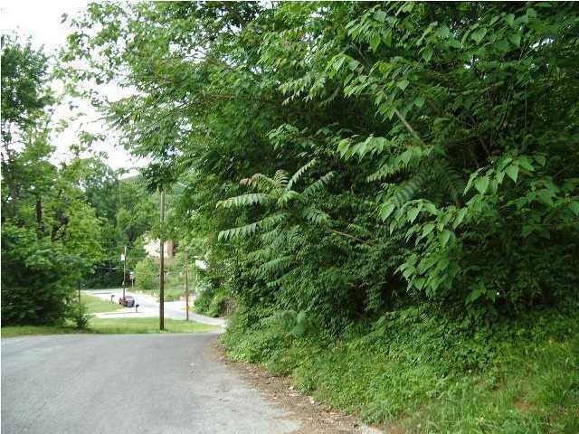 1911 Ivy St, Chattanooga, TN 37404 - photo 1