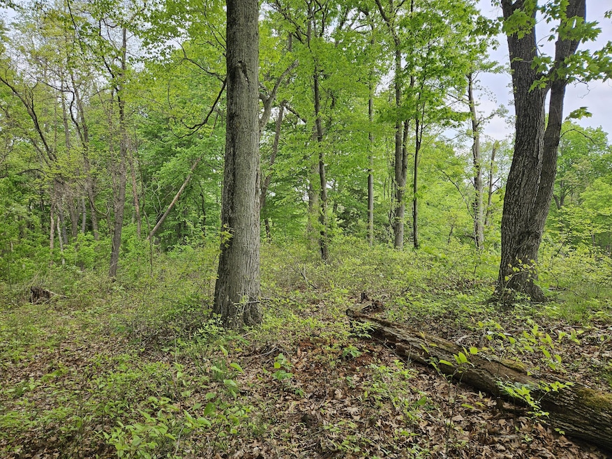 77868 30th Ave, Covert, MI 49043 - photo 1