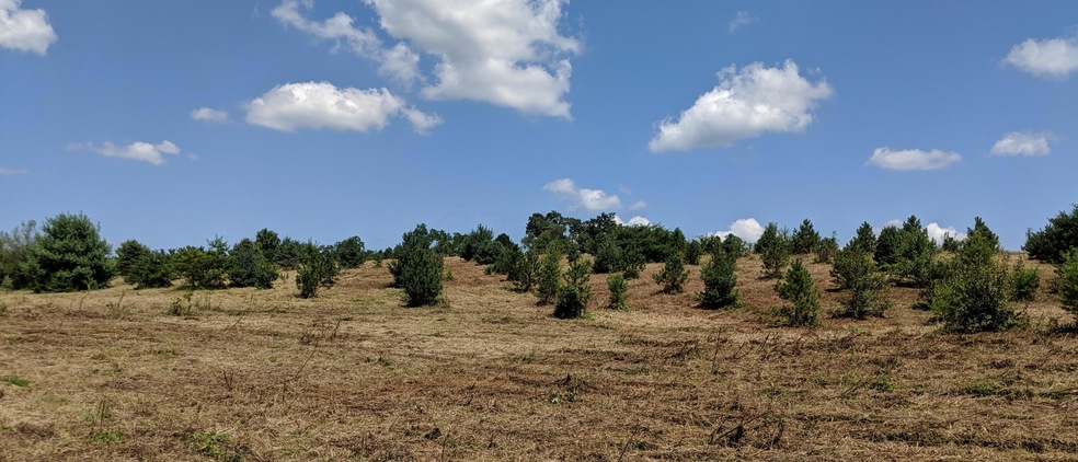 unlisted-address, Logan, OH 43138 - photo 1