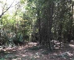 0000 Schaffer Rd, Marietta, GA 30060 - photo 1