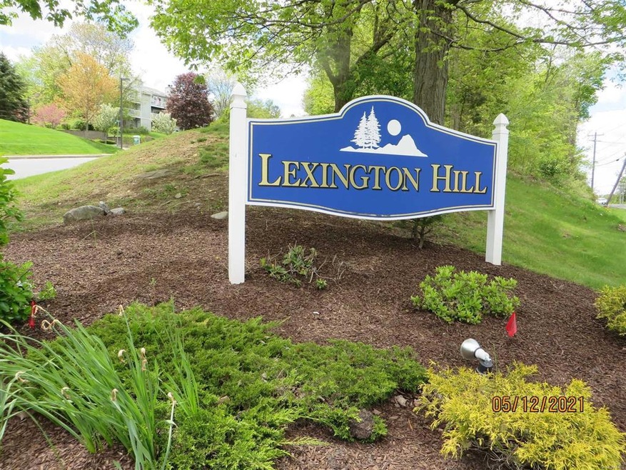 3 Lexington Hills Rd, Harriman, NY 10926 - photo 1