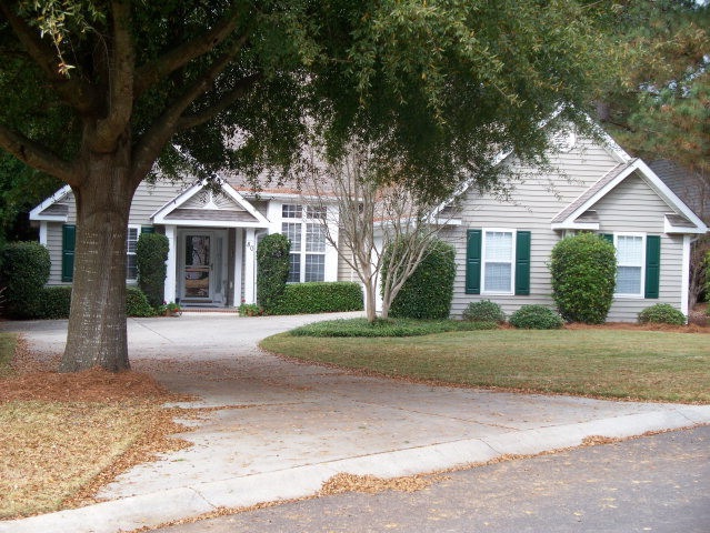Main View