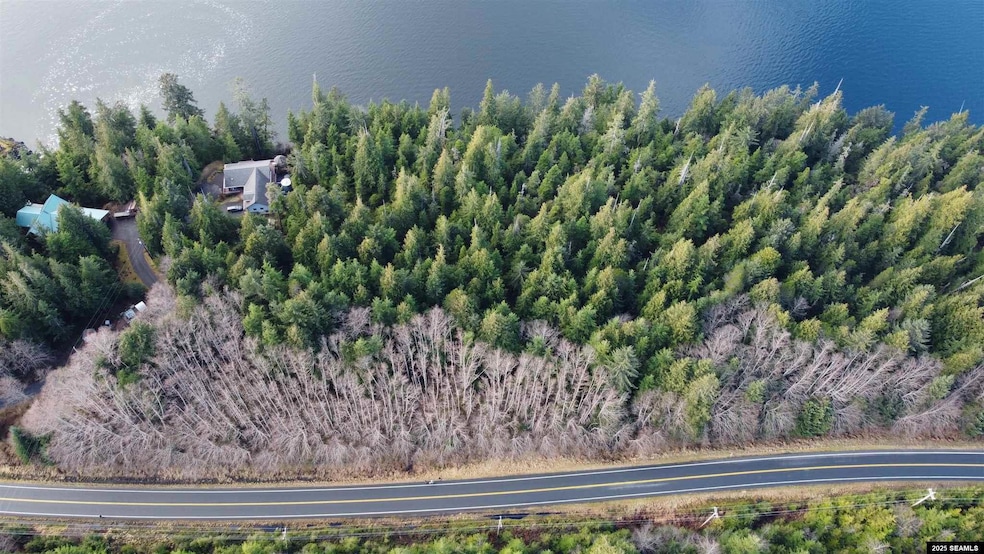 Lot 1 Legal Address Only unit Lot 1, Betton View S, Ketchikan, AK 99901 - photo 1