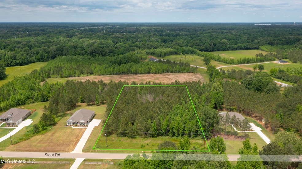 Lot 51-3a