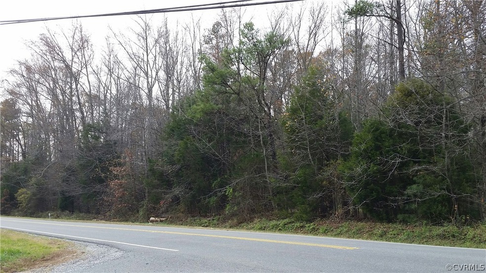 00 Richmond Turnpike, Ruther Glen, VA 22546 - photo 1