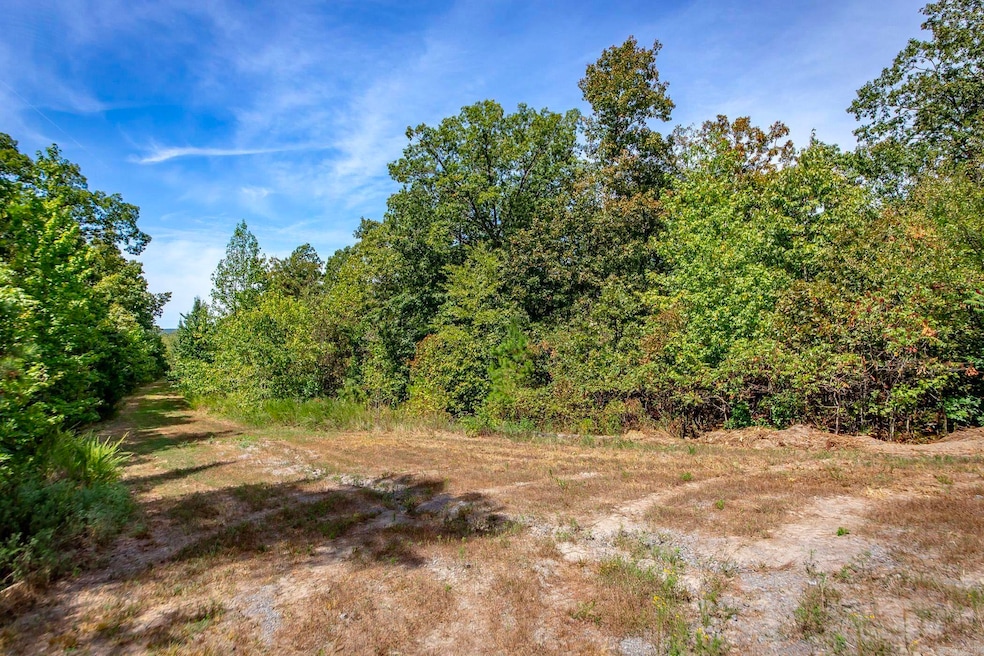 0 Porter Rd unit 25034698, Union Township, AR 72153 - photo 1