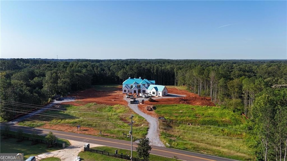 15785 S Thompson Rd, Milton, GA 30004 - photo 1