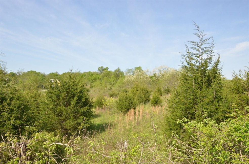 1 Harvey Pike, Harrodsburg, KY 40330 - photo 1