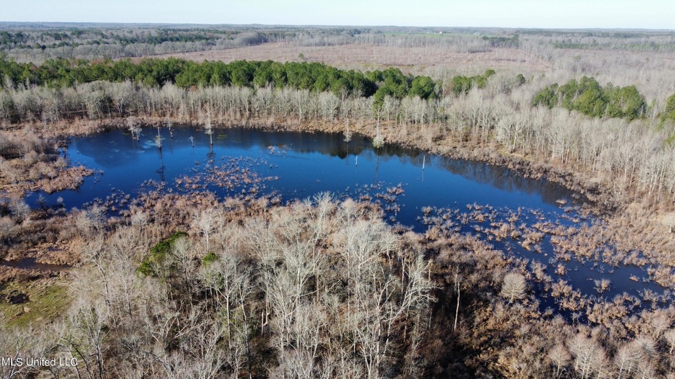 dji_fly_20240213_090520_218_170783683767