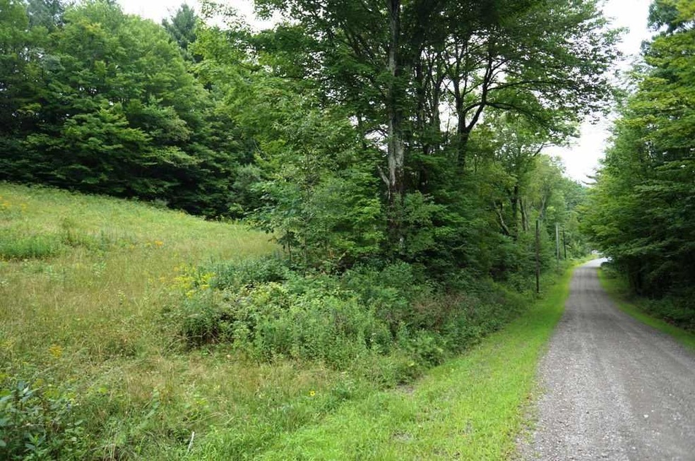 0 Rhoades Rd unit 11C 4872883, Alstead, NH 03602 - photo 1