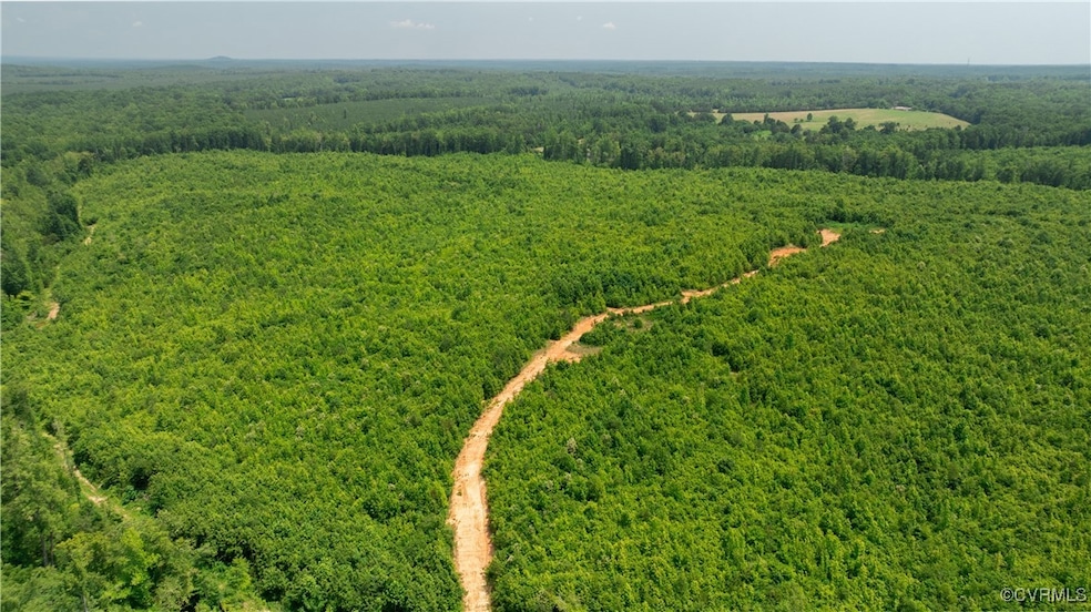 143 ACRES Old Peach Orchard Ln, Meherrin, VA 23954 - photo 1