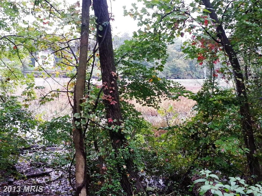 8612 Stockton Pkwy, Alexandria, VA 22308 - photo 1