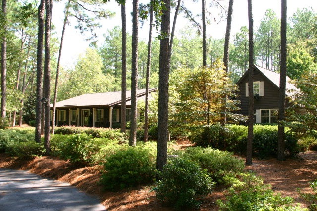 Main View