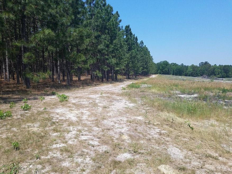 PASTURE AND WOODS