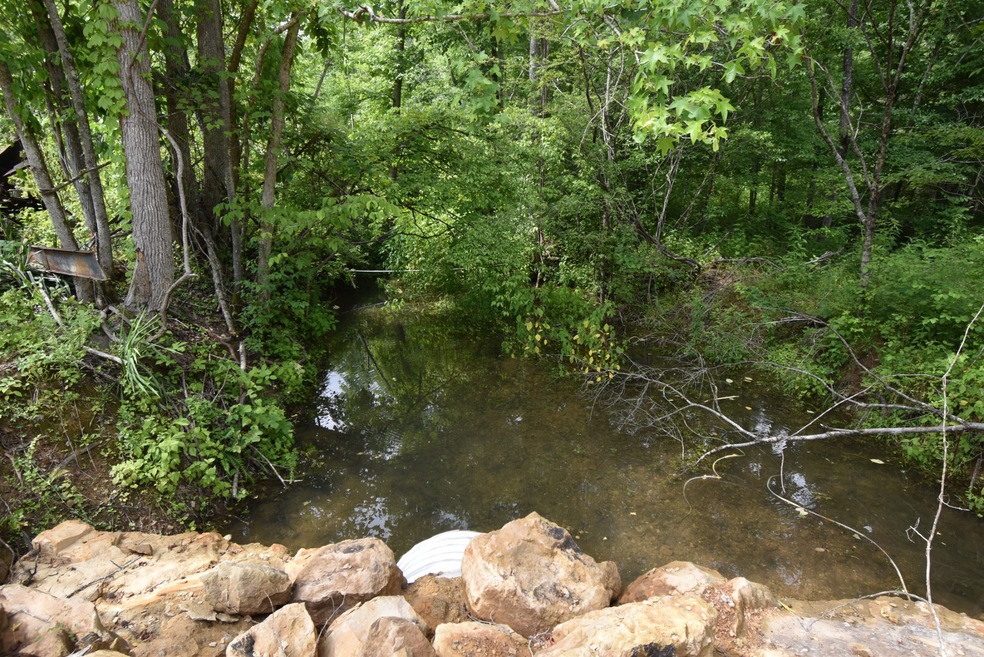 0 Highway 128 unit RTC2539766, Linden, TN 37096 - photo 1