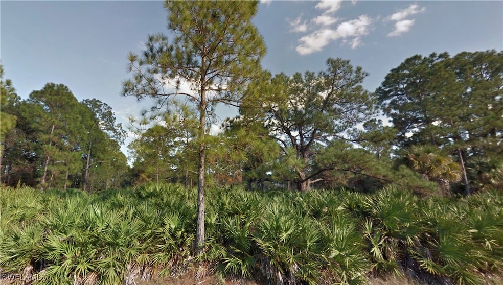 View of local wilderness