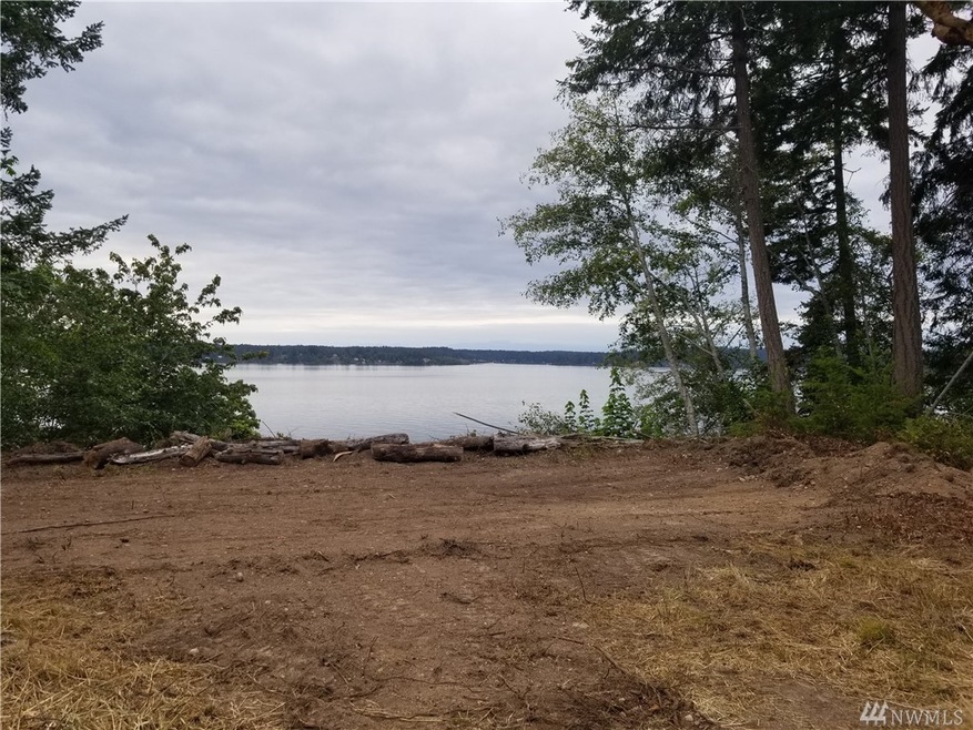 8210 128th Ave Ct, Anderson Island, WA 98303 - photo 1