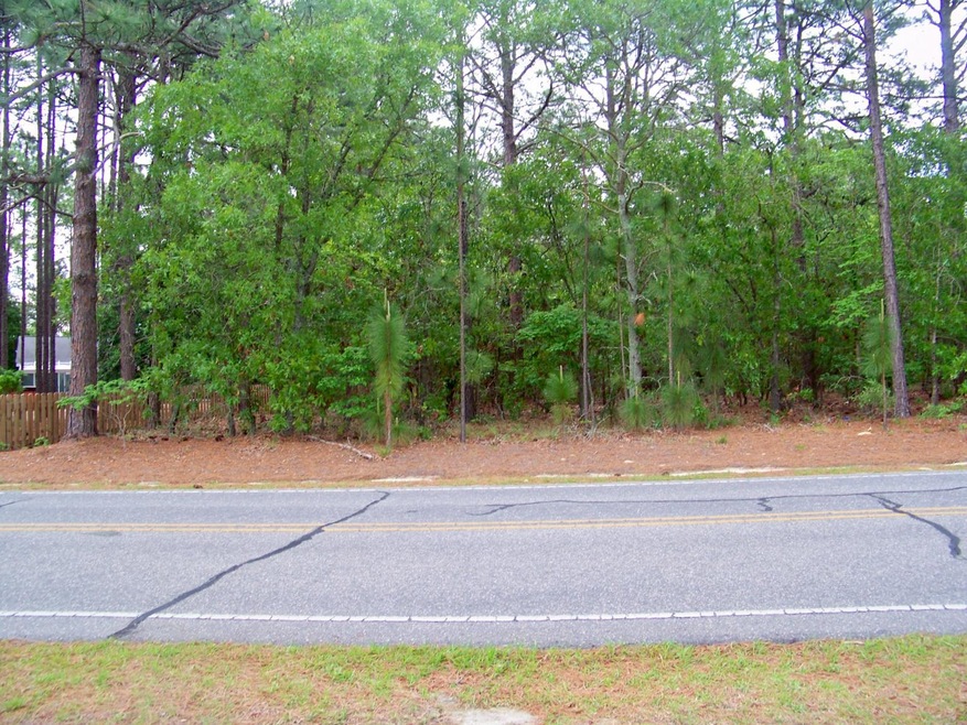 Lot from Across Street