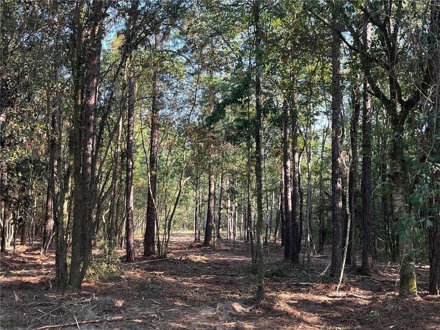 Underbrush has been cleared, property is easy to w