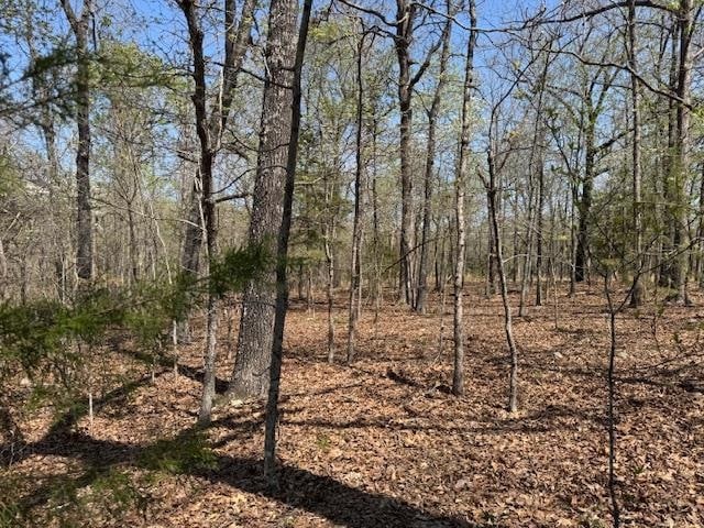 410 N Sequoia Dr, Horseshoe Bend, AR 72512 - photo 1