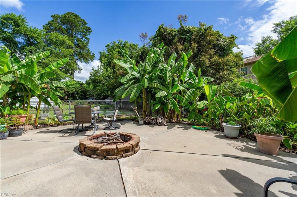 BANANA TREES! TROPICAL OASIS!