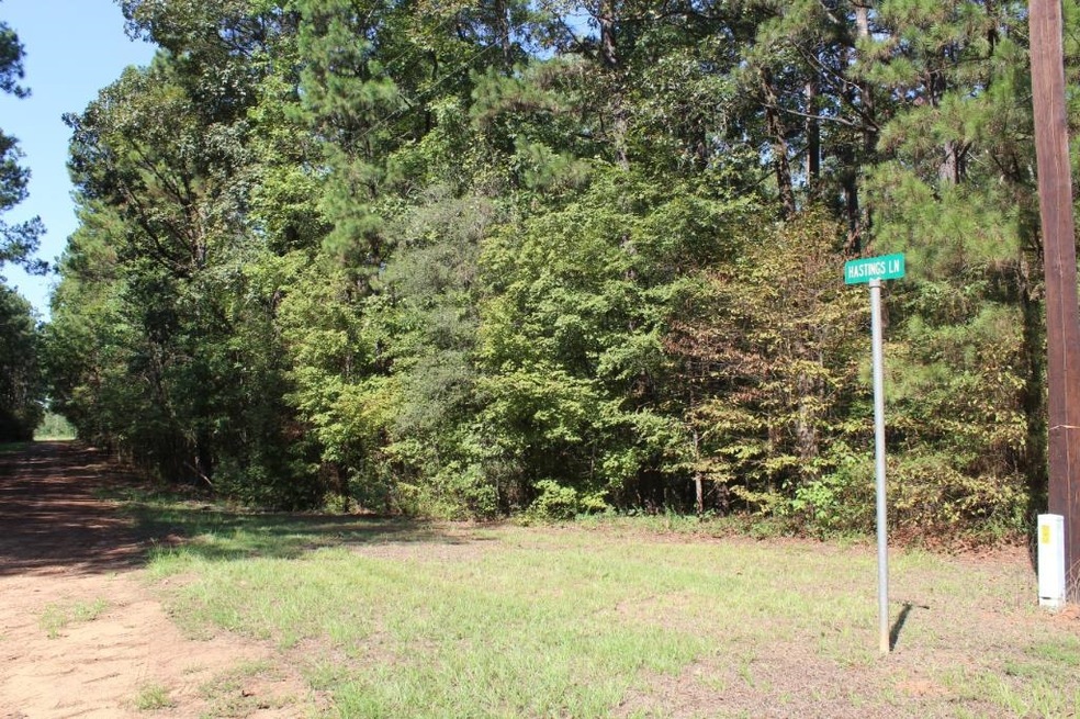 0 Hastings Ln unit 4206066, Milam, TX 75948 - photo 1