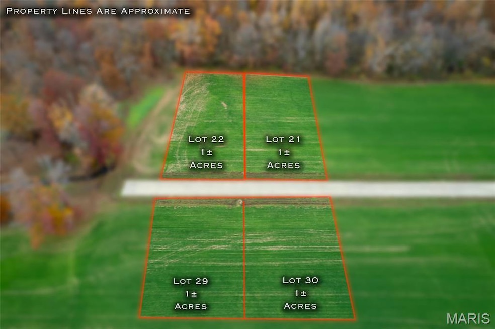 430 Bertha E Dumey Dr, Benton, MO 63736 - photo 1