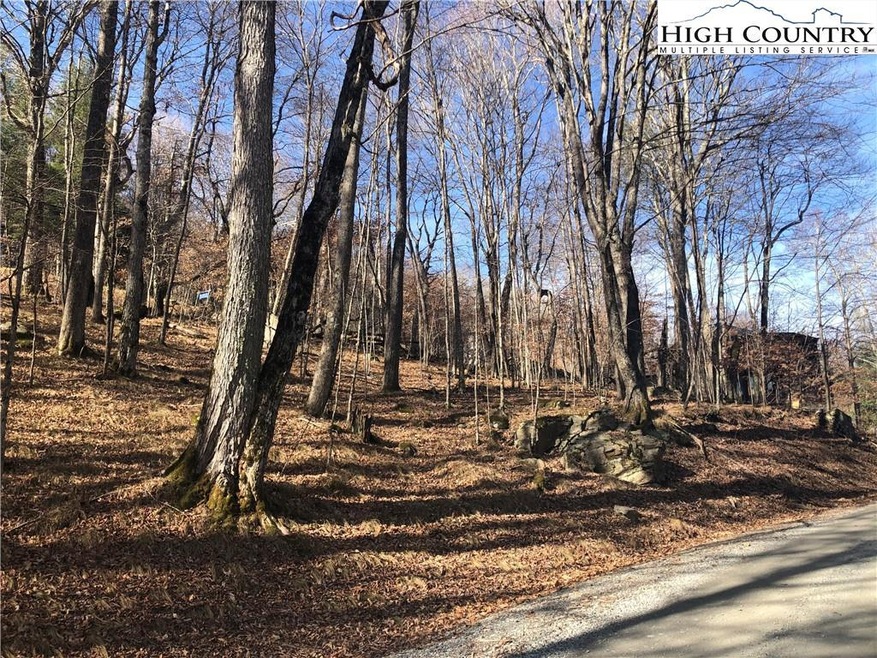 Fairly gentle sloping lot, access from below (here