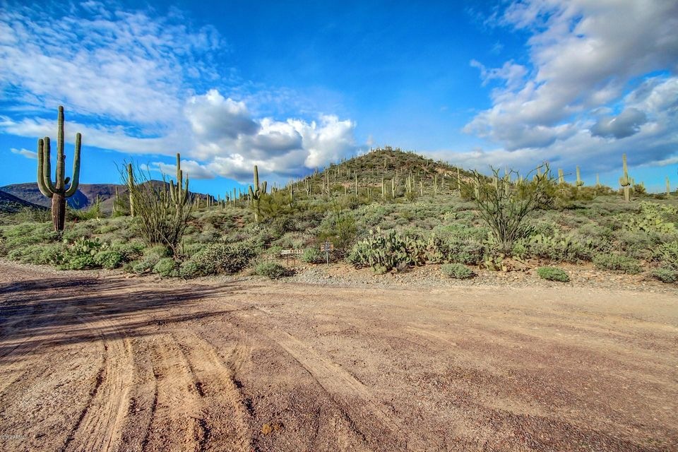 Beautiful 5.11 acre lot