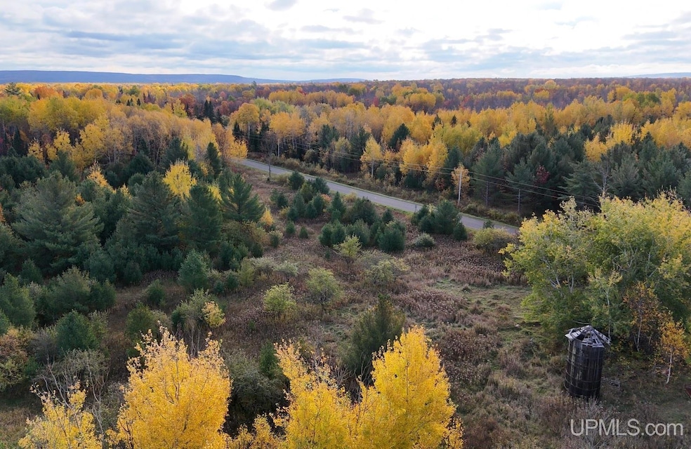 TBDC20 Firesteel Rd, Ontonagon, MI 49953 - photo 1