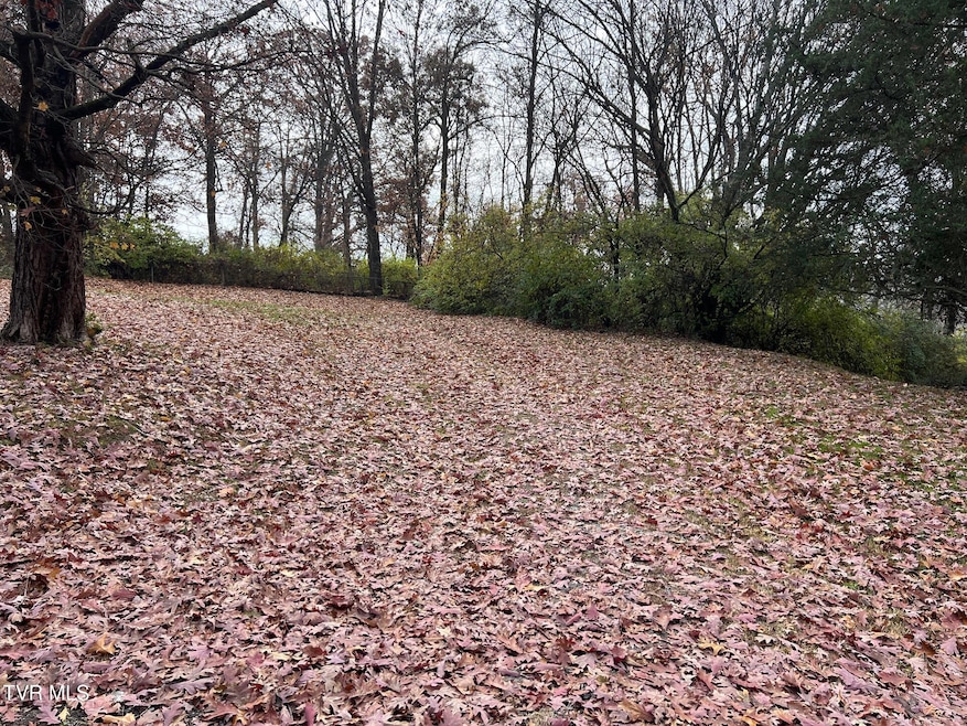 308 Branner St, Morristown, TN 37814 - photo 1