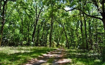 TBD Kansas Ct, Fort White, FL 32038 - photo 1