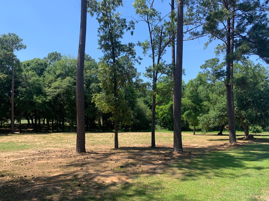 Shaded Golfcourse Views