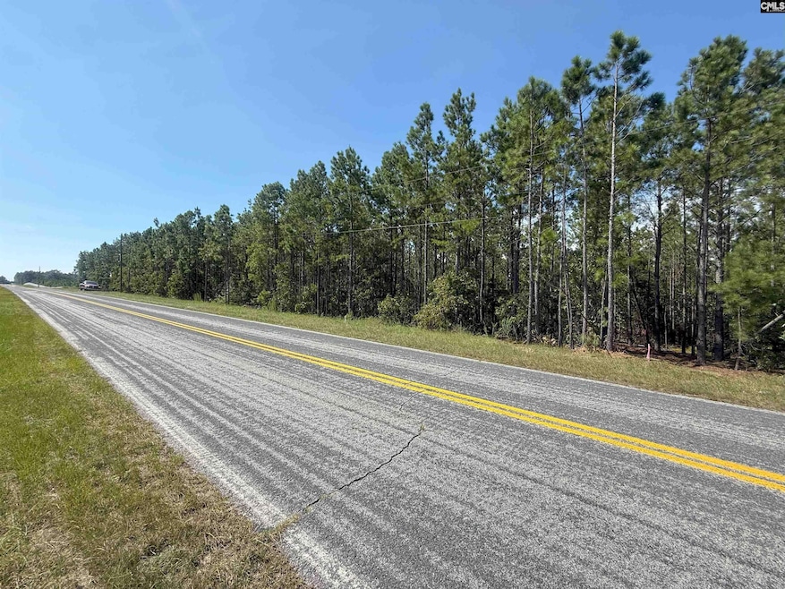 KF 2 State Road S-28-354 unit KF 2, Kershaw, SC 29067 - photo 1