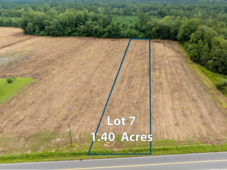 TBD Lot B7 Mount Olive Church Rd, Nichols, SC 29581 - photo 1