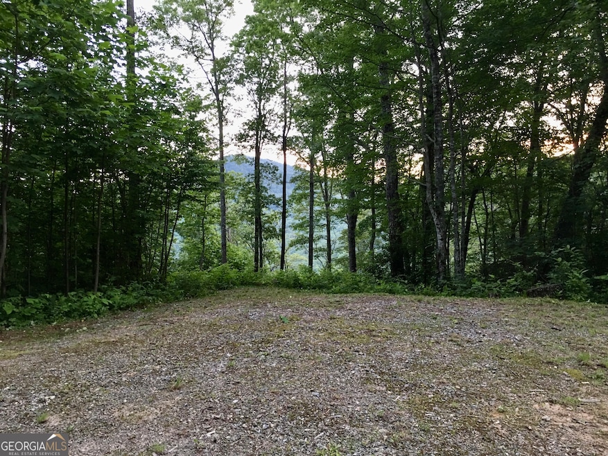 0 Nichols Ln at Tate City unit 8 10583447, Clayton, GA 30525 - photo 1